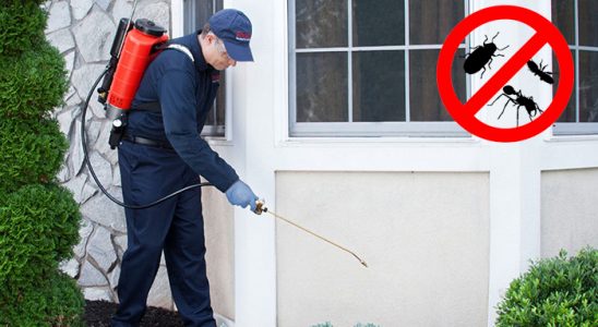Tekman Hamam Böceği İlaçlama böcek ilaçlama ve haşere kontrolü — ilaclama-tr.com